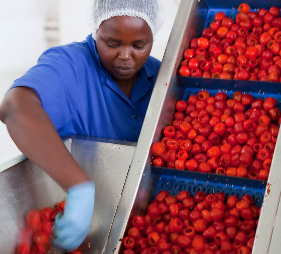 PEPPADEW® is Committed to Fair Labour and Human Rights