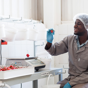 Peppadew being meticulously made